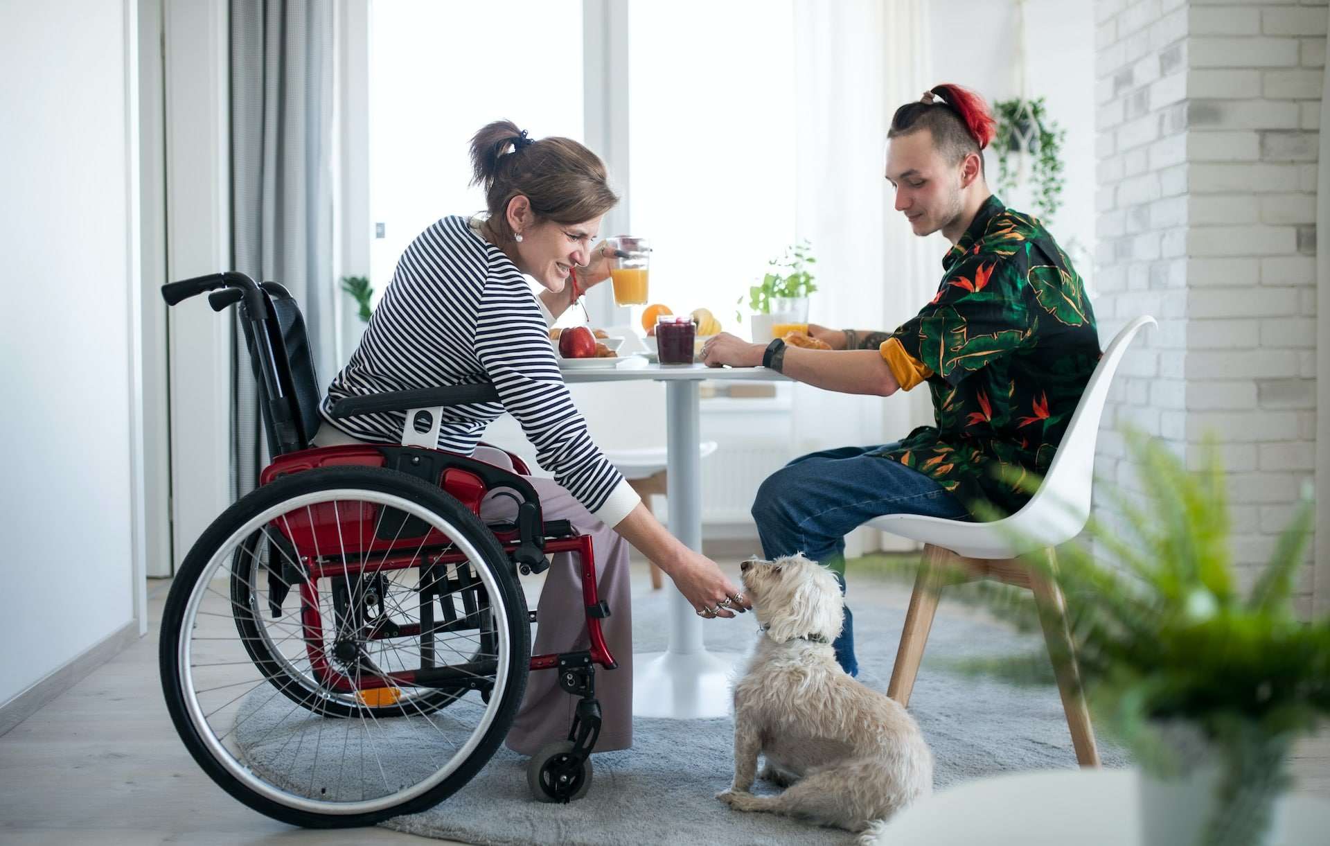 Disability Equipment Suppliers in Adelaide: Enhancing Lives with Quality Care
